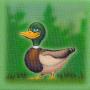 eend