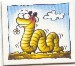worm