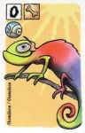 kameleon kameleon