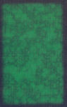groene kaart - achterkant groene kaart - achterkant