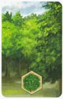 Kingdom Builder Bos Kingdom Builder Bos