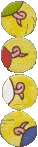 staarten staarten