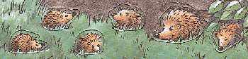 dierentableau dierentableau