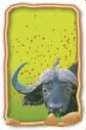 buffel buffel