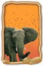 olifant olifant