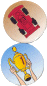 fiches fiches